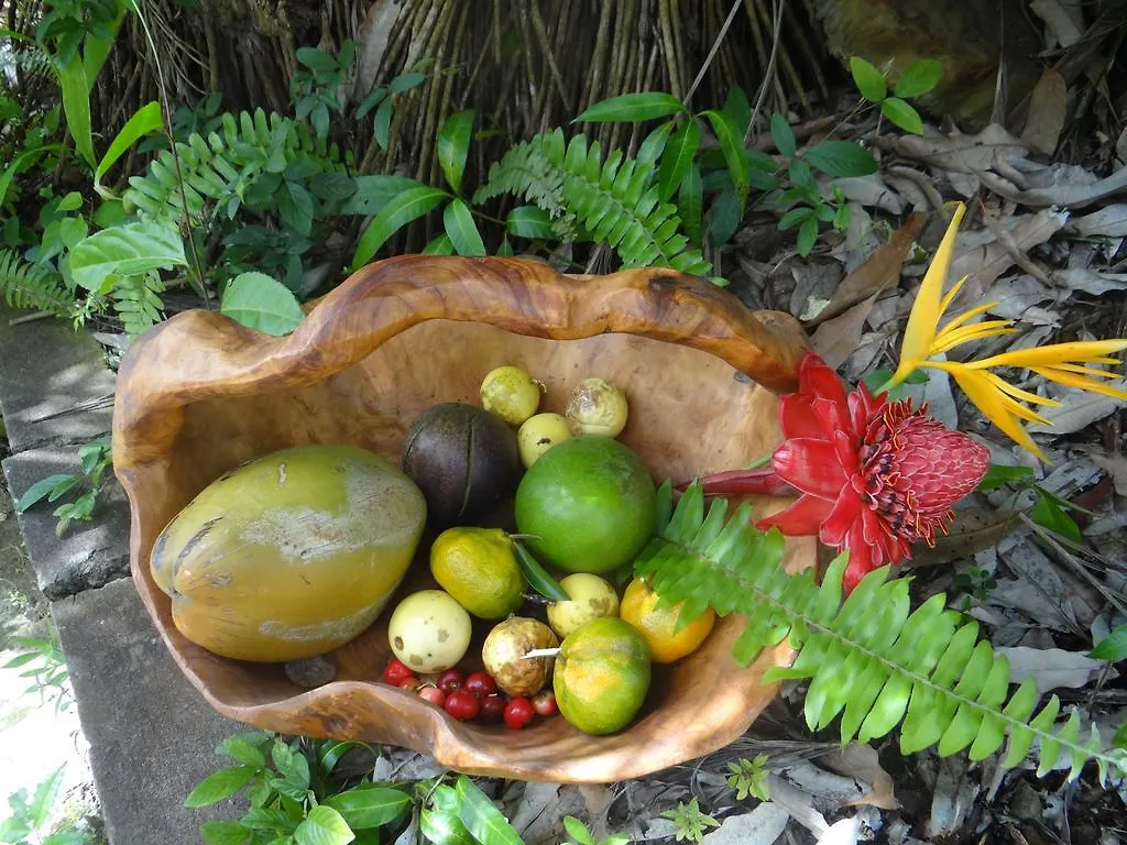 Gite Le Verger Le Lamentin Martinique