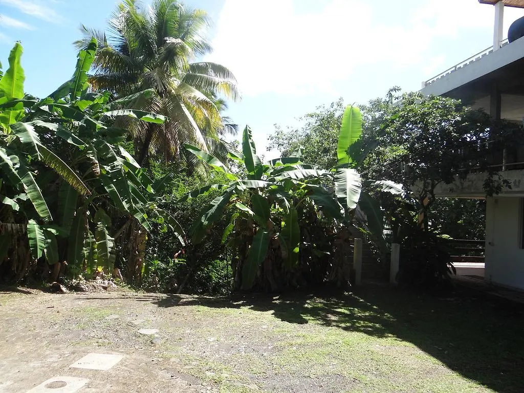 Apartment Gite Le Verger Le Lamentin Martinique
