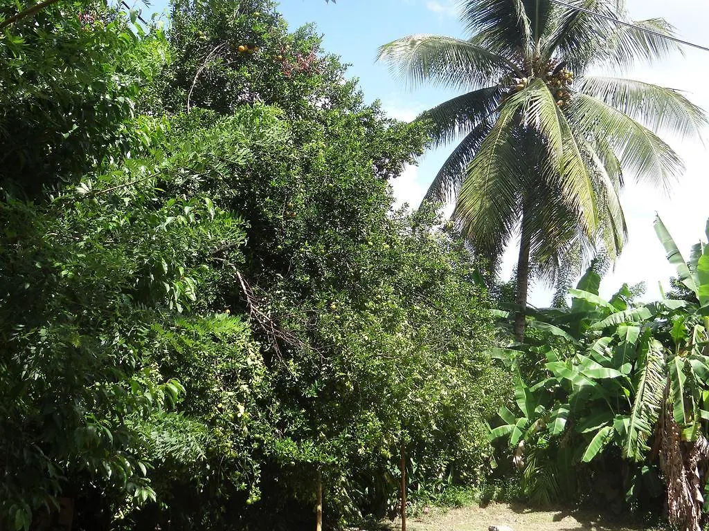 Gite Le Verger Le Lamentin Martinique